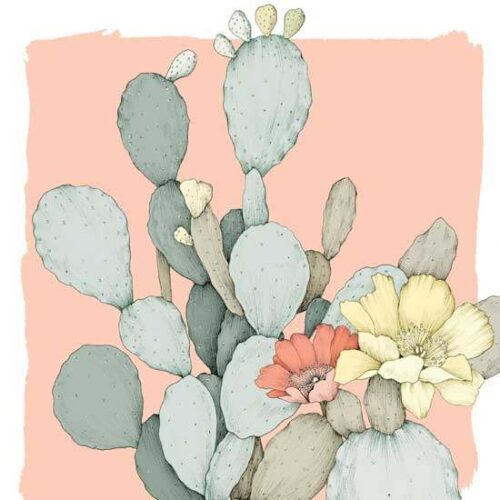 Prickly Pear and Cholla History and Use